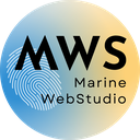 Site vitrine ou e-commerce : lequel correspond à vos besoins ?